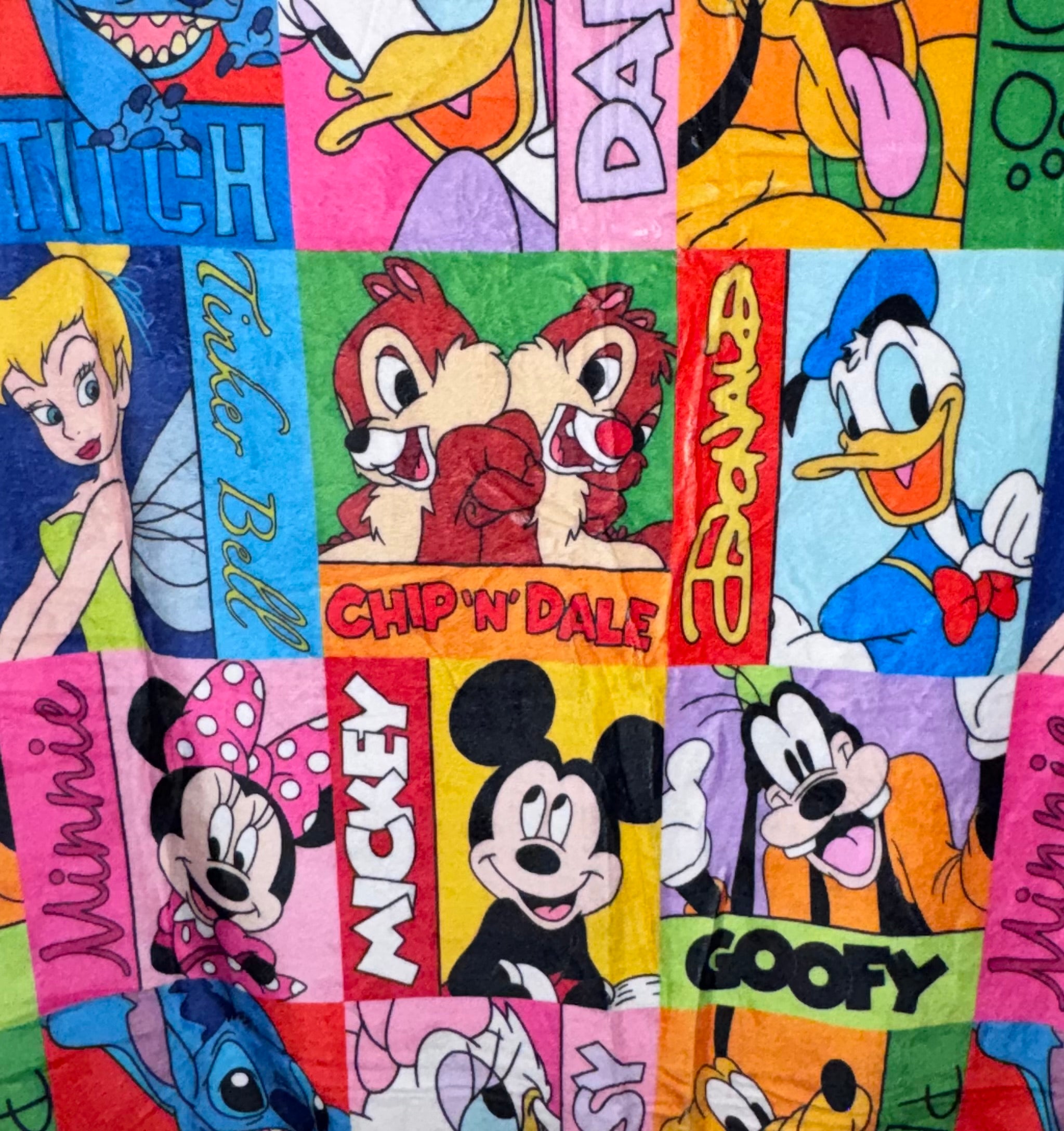 50x60 Disney Checks Minky Plush Blanket
