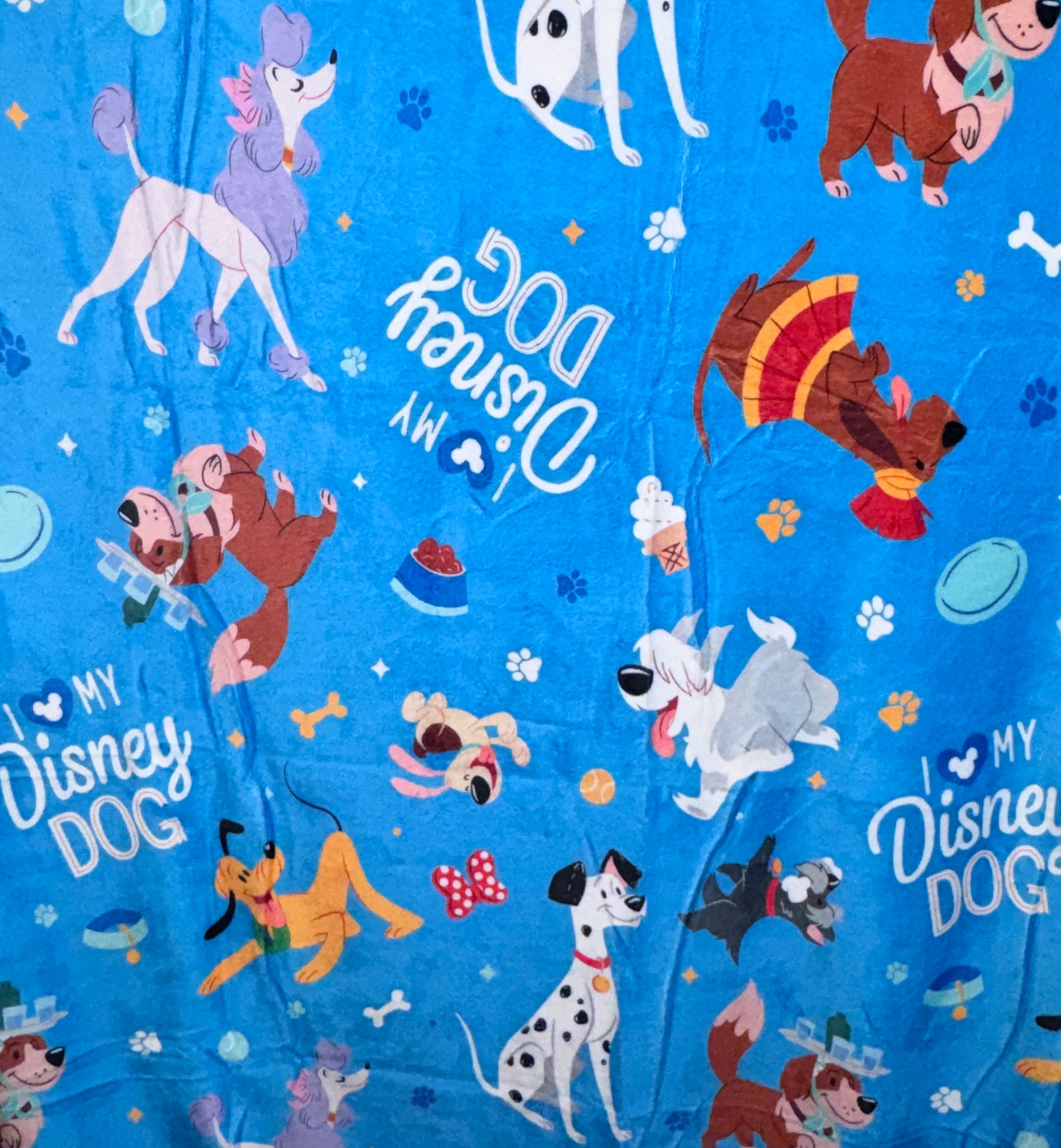 50x60 Disney Dog Minky Plush Blanket