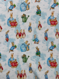 Peter Rabbit - Long Sleeve and Pants Set