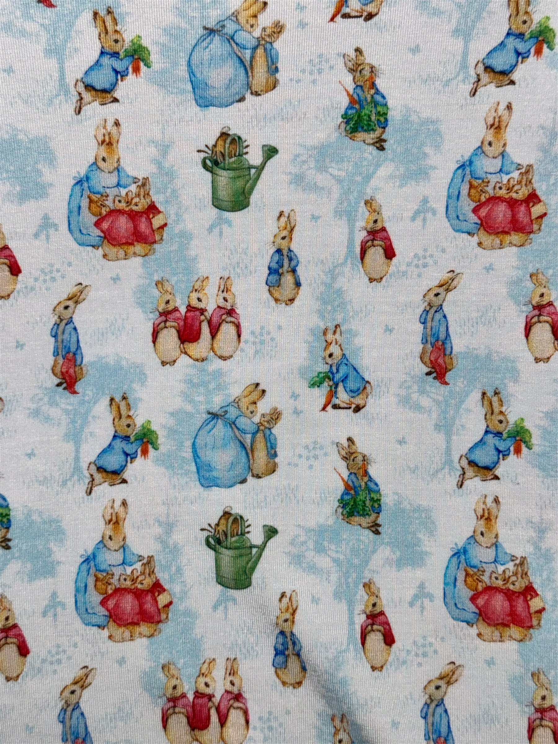 Peter Rabbit - Long Sleeve and Pants Set