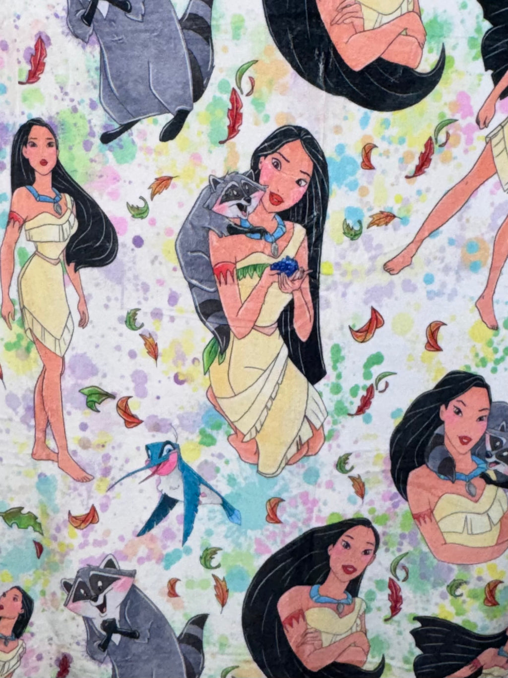 50x60 Pocahontas Minky Plush Blanket