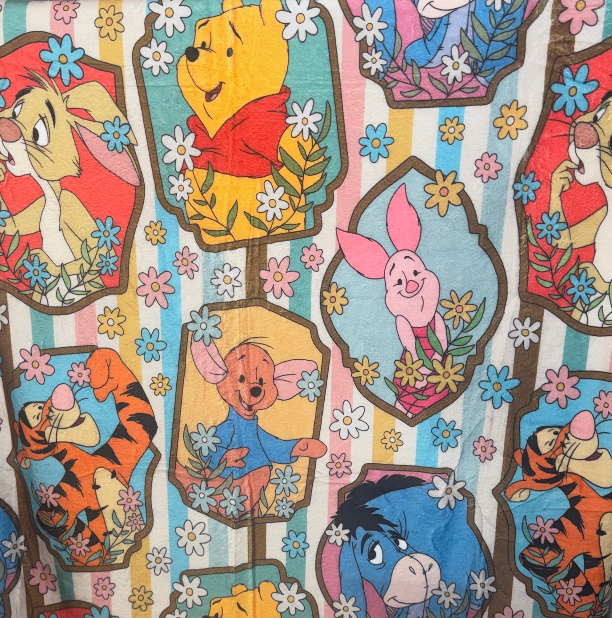 50x60 Pooh and Friend Minky Plush Blanket
